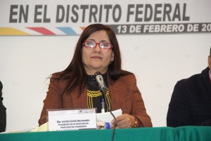 Diputada Lucila Estela Hernández.